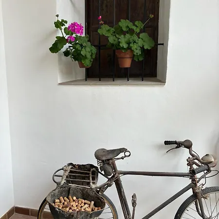 Art Boutique La Casona De Flores 3*